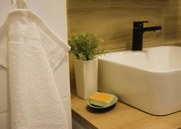 Apartament Shine