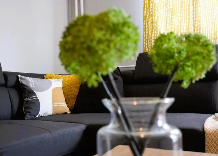 Apartament Shine