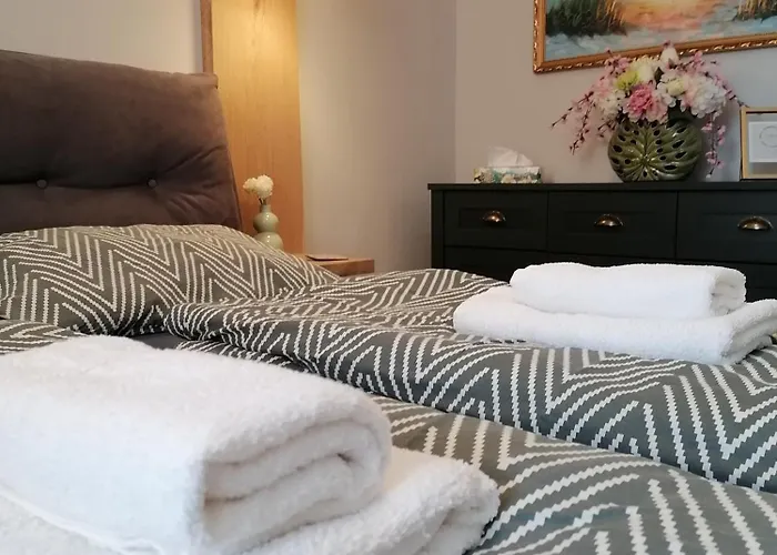 Apartament Shine *