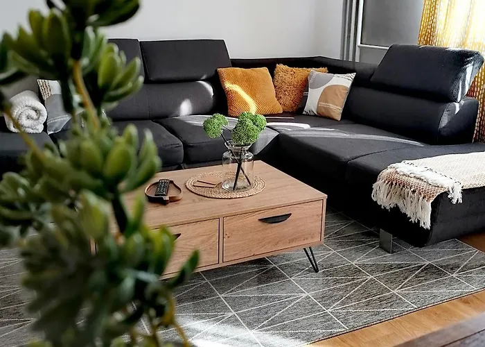 Apartament Shine *